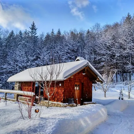 Grosse Familienwohnung Mit Terrasse