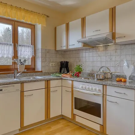 Grosse Familienwohnung Mit Terrasse Spiegelau
