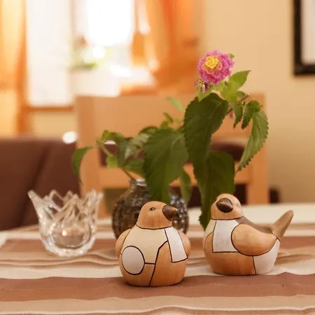 Grosse Familienwohnung Mit Terrasse